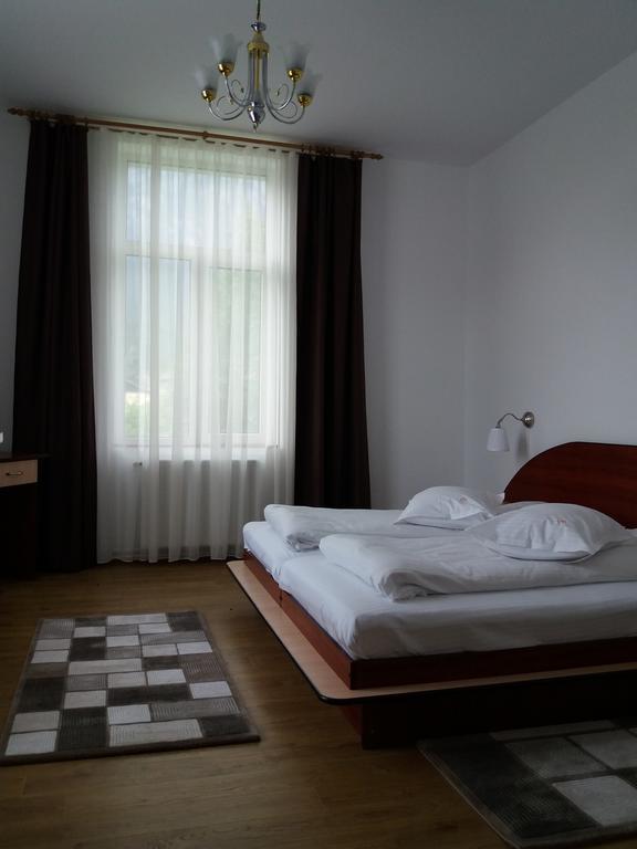 Vila Viitorul Buşteni Zewnętrze zdjęcie