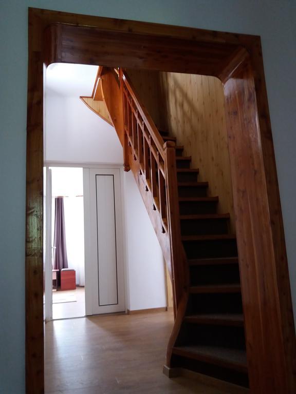 Vila Viitorul Buşteni Zewnętrze zdjęcie